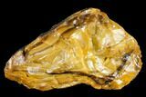 Kansas Amber (Jelinite) Specimen Holy Grail Of Kansas Minerals #113137-1